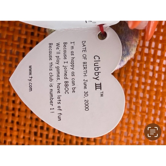 Ty Bear - Picture 3 of 5